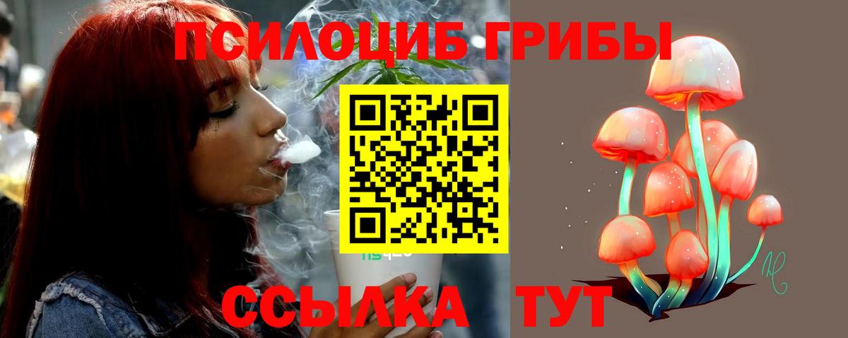 Евпатория  Псилоцибиновые грибы мухоморы  Галлюциногенные грибы мухоморы  Вход с VPN 